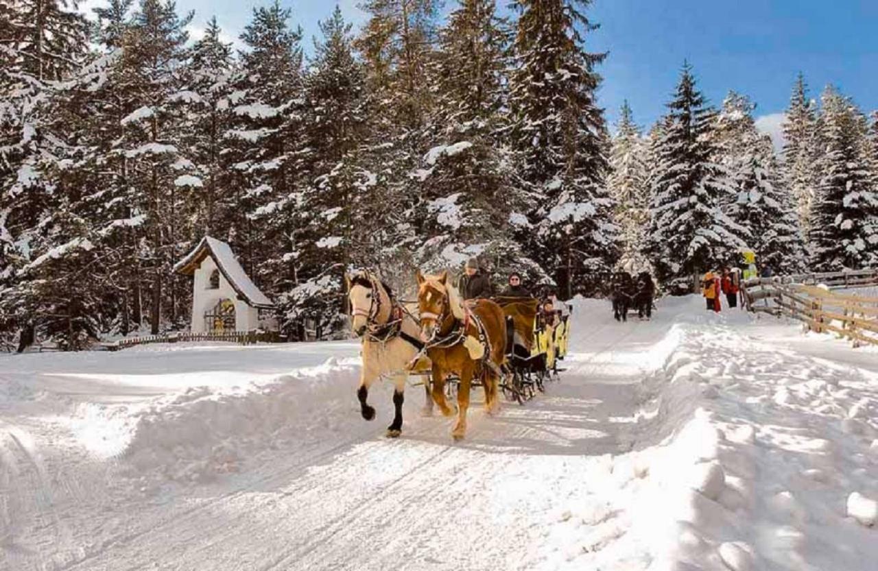 Appartmenthaus Birkenwald 제펠드 인 티롤 외부 사진