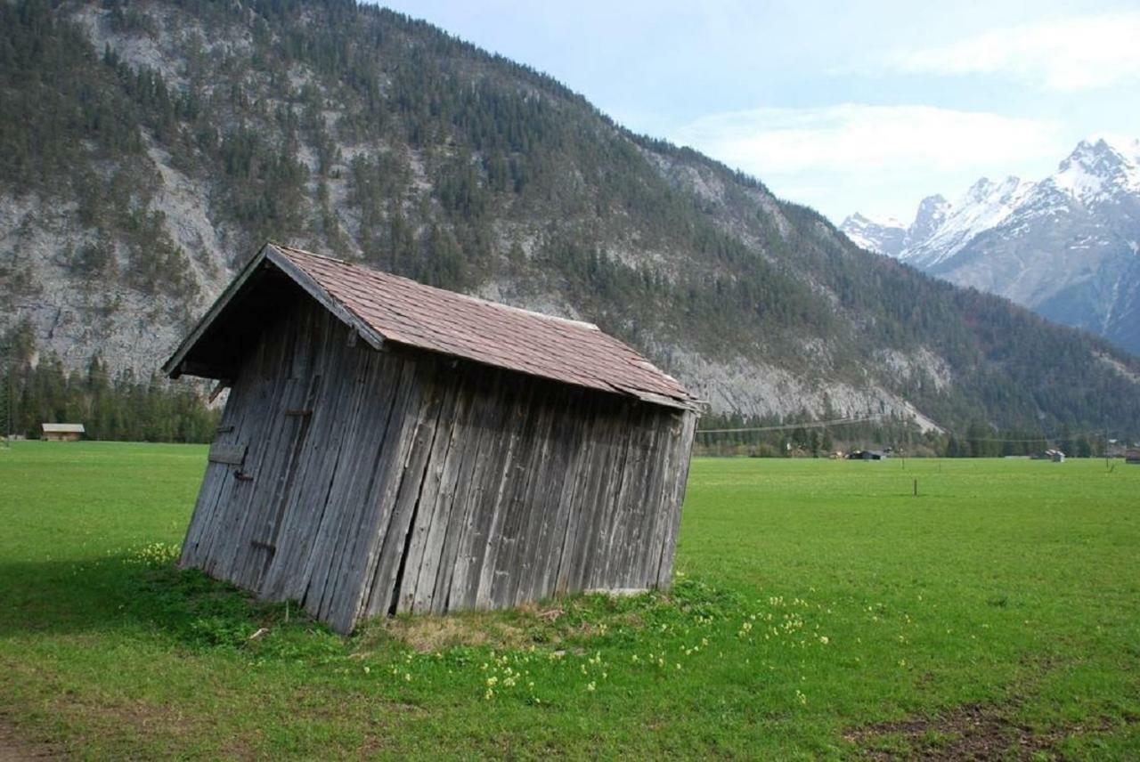 Appartmenthaus Birkenwald 제펠드 인 티롤 외부 사진