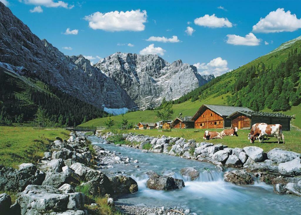 Appartmenthaus Birkenwald 제펠드 인 티롤 외부 사진